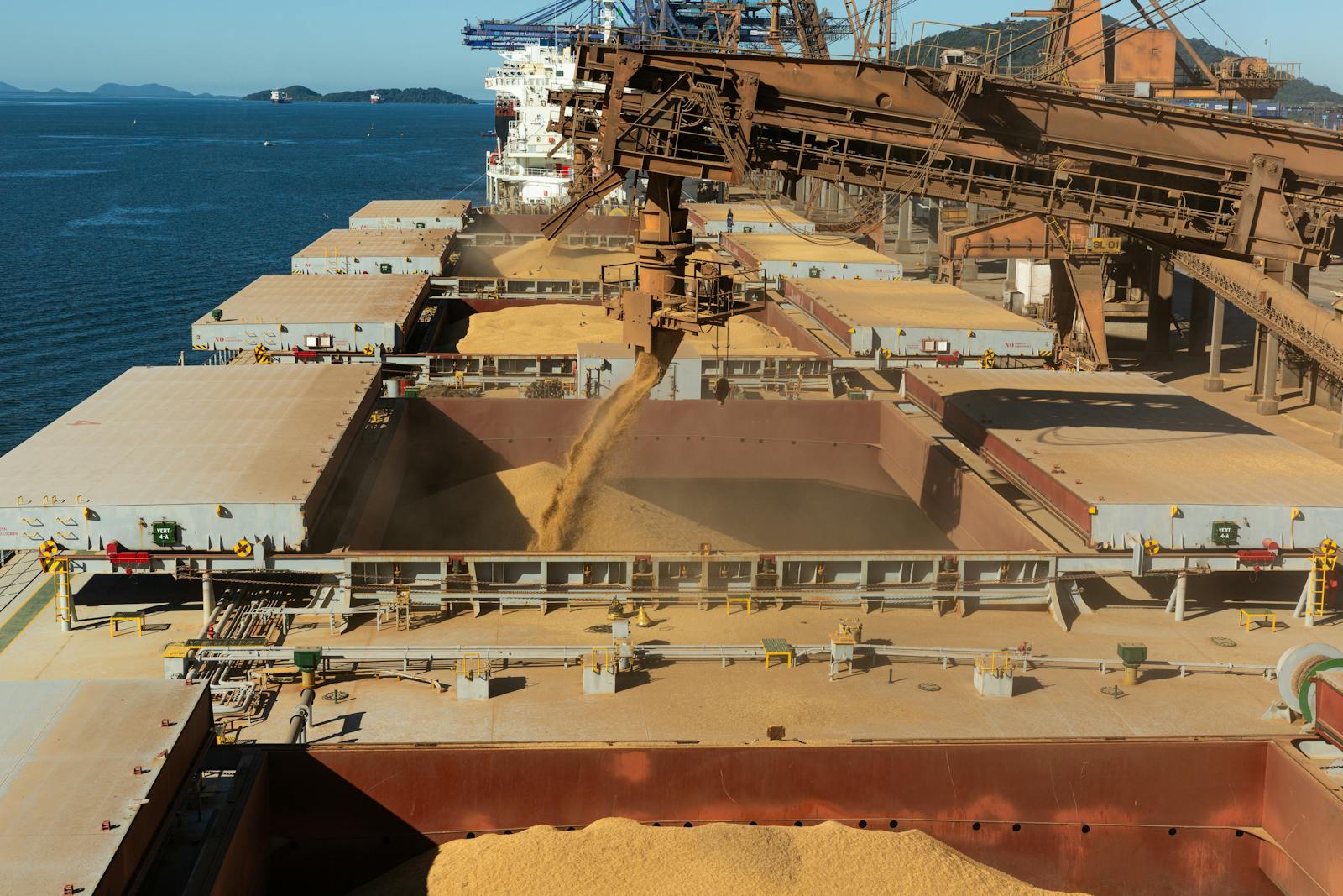 Grain being loaded onto a bulk carrier