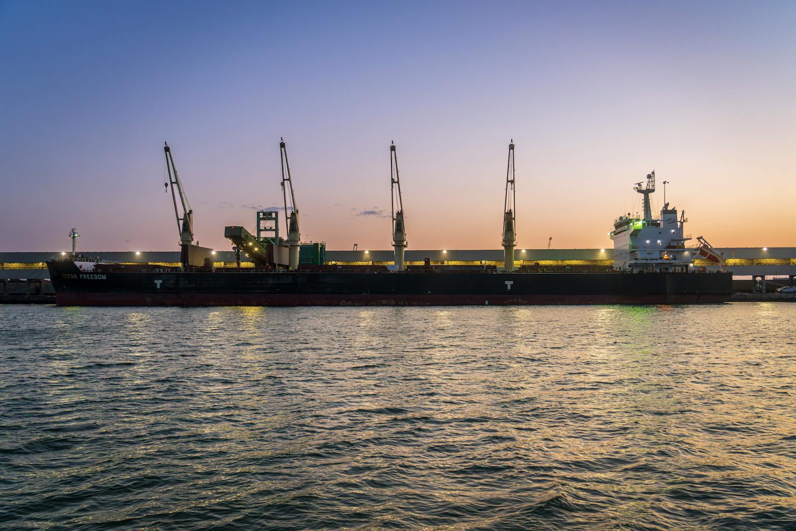 Bulk carrier loading at port